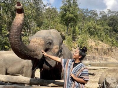 English teacher in Thailand smiling next to an elephant